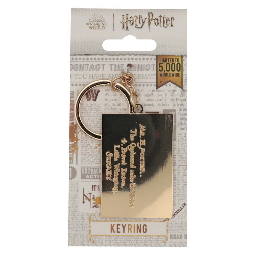 Harry Potter Letter Keyring