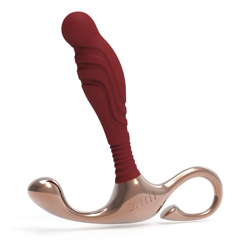 Zini Janus Lamp Iron Small Prostate Massager > Anal Range > Prostate Plugs - Tophatter Daily Deals