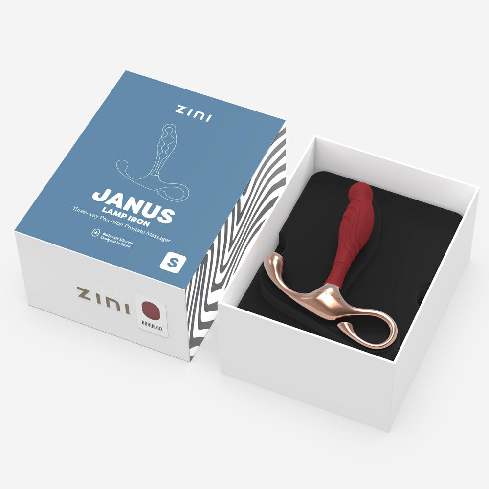 Zini Janus Lamp Iron Small Prostate Massager > Anal Range > Prostate Plugs - Tophatter Daily Deals