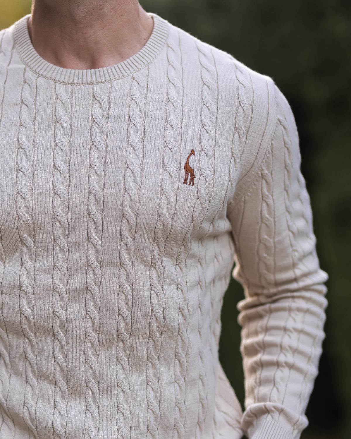 Soft Timeless Men's Cable Knit Sweater - Crewneck, Cotton - Tophatter Daily Deals