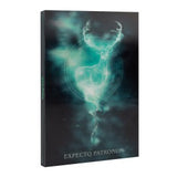 Harry Potter - Officially Licensed A5 Lenticular Art Notebook