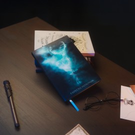 Harry Potter - Officially Licensed A5 Lenticular Art Notebook