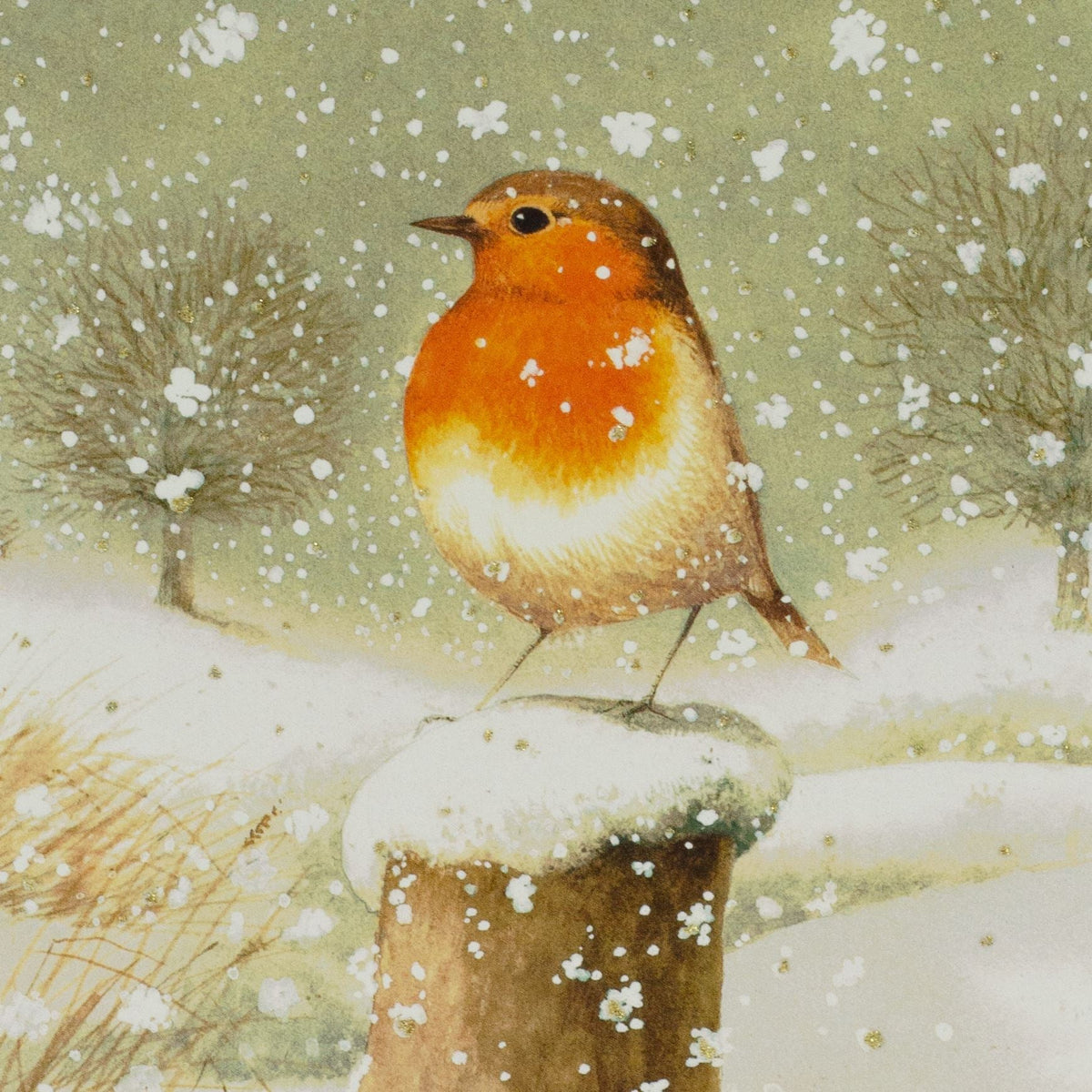 Christmas Robin Advent Calendar | Traditional Winter Scene with 24 Festive Doors Advent Calendar - Tophatter Daily Deals
