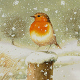 Christmas Robin Advent Calendar | Traditional Winter Scene with 24 Festive Doors Advent Calendar - Tophatter Daily Deals