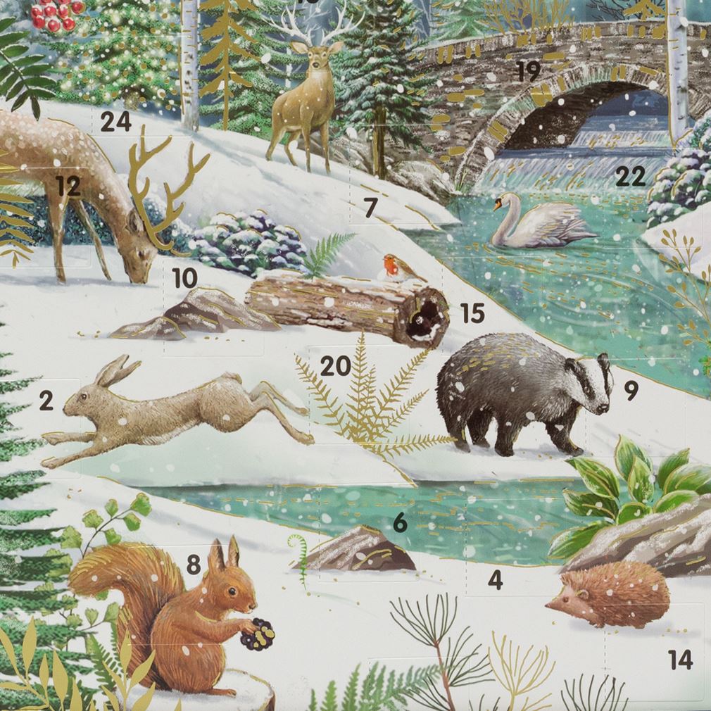 Festive Christmas Advent Calendar | Winter Flora & Fauna Advent Calendar Advent Calendar - Tophatter Daily Deals