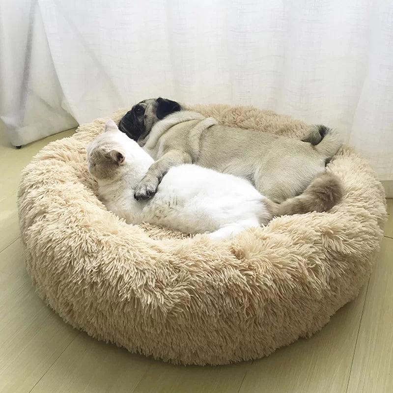 Almaguer Orthopedic Polyester Pet Bed - Tophatter Daily Deals