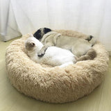 Almaguer Orthopedic Polyester Pet Bed - Tophatter Daily Deals