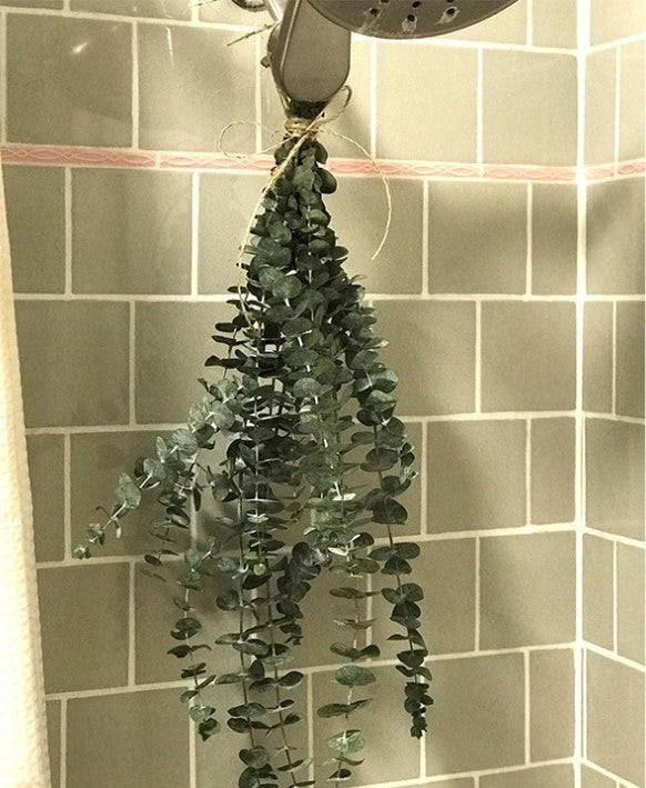 Bath Home Decor Natural Dried Flowers Lavender Immortal Eucalyptus Leaves 0 - Tophatter Daily Deals