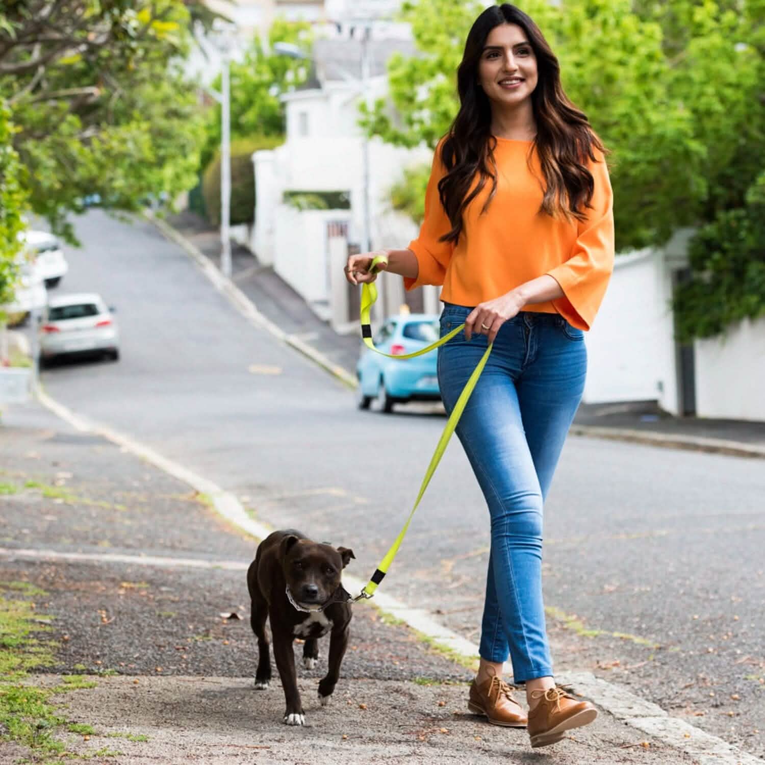 Adjustable Dog Choke Collar Training Chain Pet Supplies - Tophatter Daily Deals