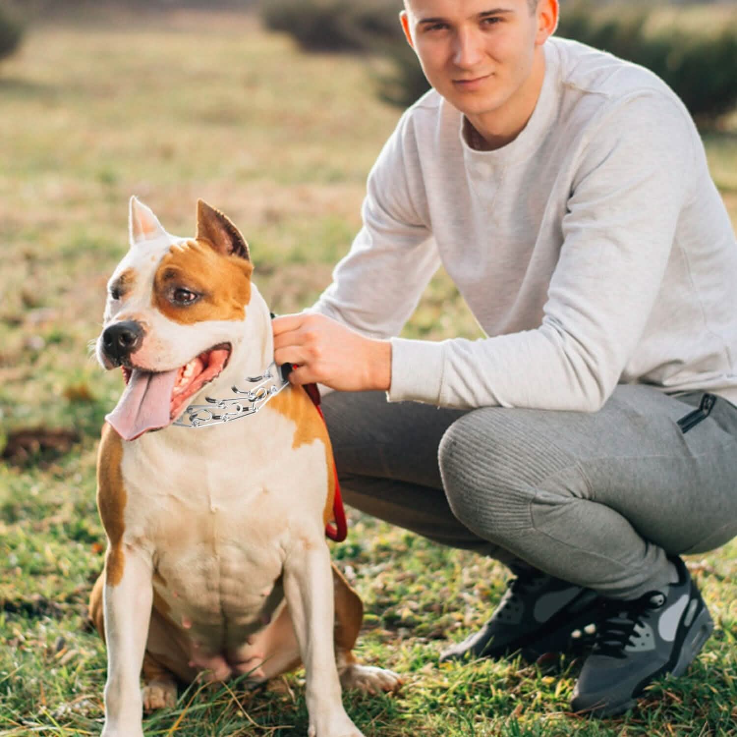 Adjustable Dog Choke Collar Training Chain Pet Supplies - Tophatter Daily Deals