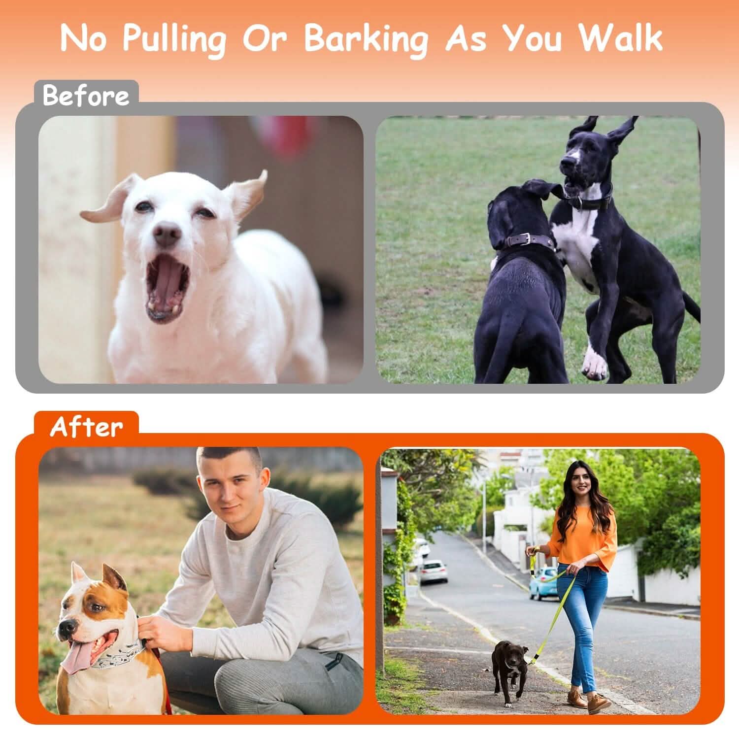 Adjustable Dog Choke Collar Training Chain Pet Supplies - Tophatter Daily Deals