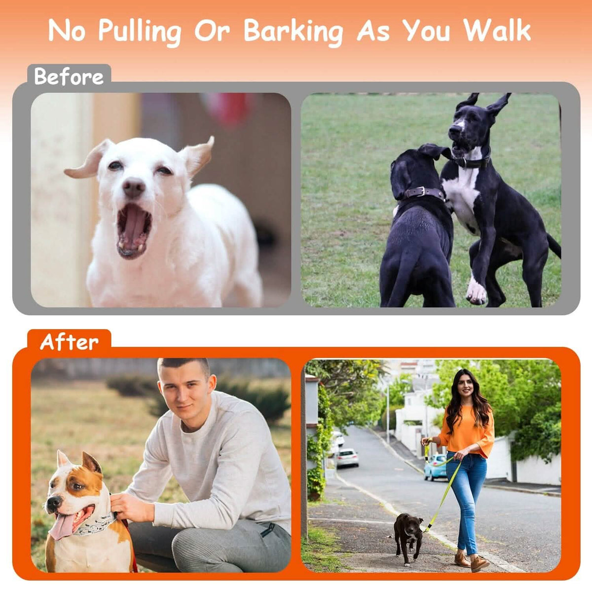 Adjustable Dog Choke Collar Training Chain Pet Supplies - Tophatter Daily Deals