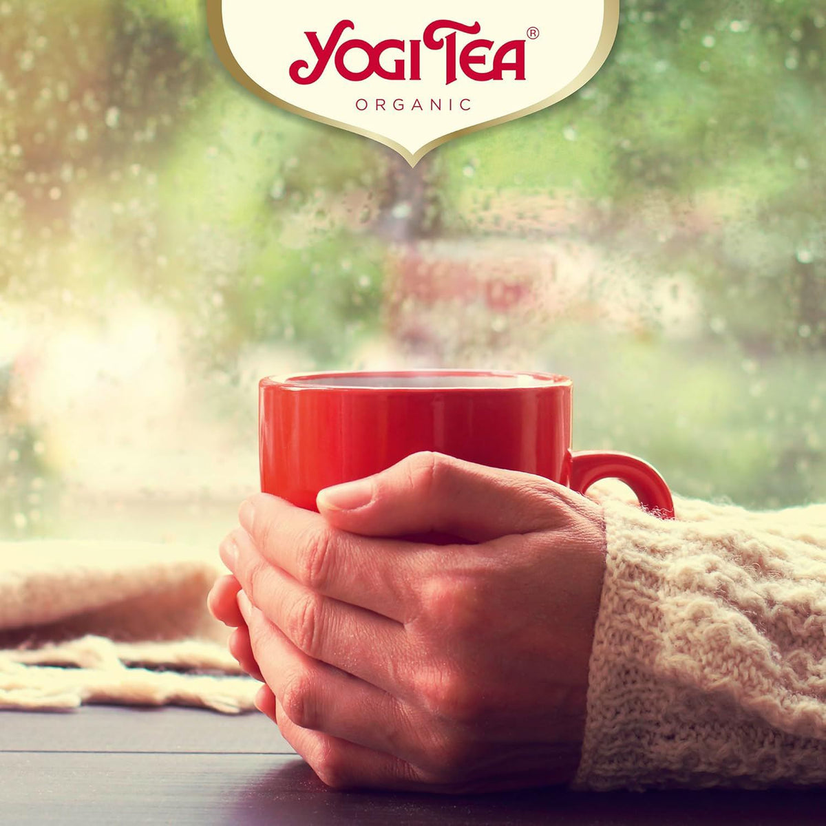 Yogi Tea Organic Christmas Advent Calendar | 24 Ayurvedic Herbal & Spiced Teas Advent Calendar - Tophatter Daily Deals
