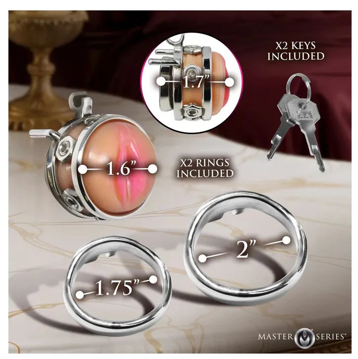 Pussy Boy Metal Chastity Cage – Body-Safe Silicone Chastity Device > Bondage Gear > Male Chastity - Tophatter Daily Deals