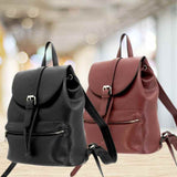 Cameleon® Amelia Concealed Carry Backpack Purse Handgun Purses - Tophatter Daily Deals
