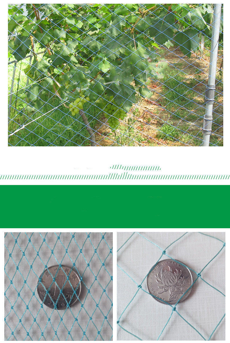 100m Poultry Chicken Netting Fence Chicken Netting Netting 0 - Tophatter Daily Deals