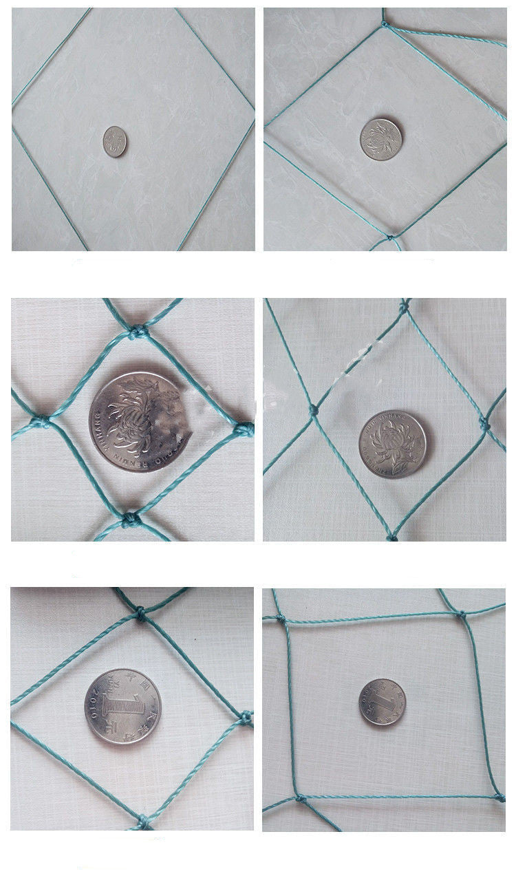 100m Poultry Chicken Netting Fence Chicken Netting Netting 0 - Tophatter Daily Deals