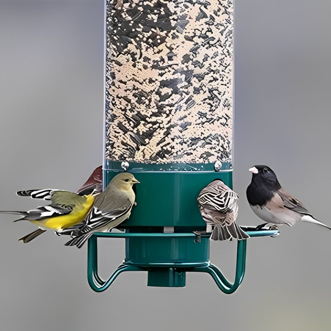 Squirrel Proof Bird Feeder Heavy Duty Spinning Perch - Tophatter Daily Deals