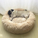 Almaguer Orthopedic Polyester Pet Bed - Tophatter Daily Deals