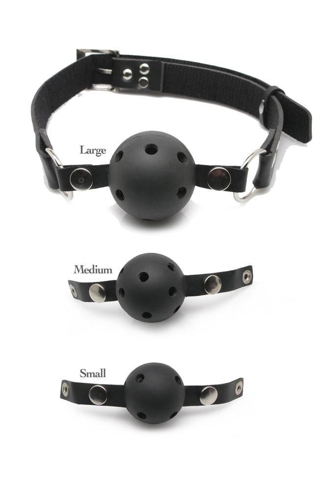 Pipedream - Fetish Fantasy - Ball Gag Training System - 3 piece set BDSM - Tophatter Daily Deals