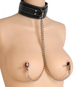 Coveted Collar and Clamp Union Set > Bondage Gear > Collars & Leashes - Tophatter Daily Deals