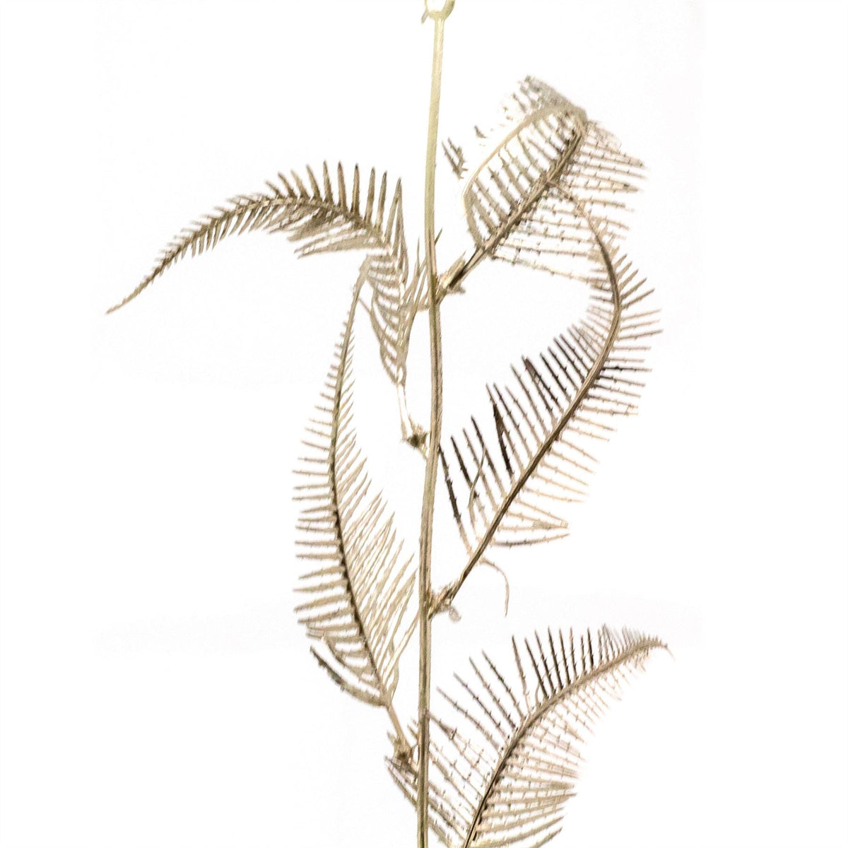 Champagne Gold Leaf Christmas Garland | Artificial Foliage Garland Leaves -170cm Garland - Tophatter Daily Deals