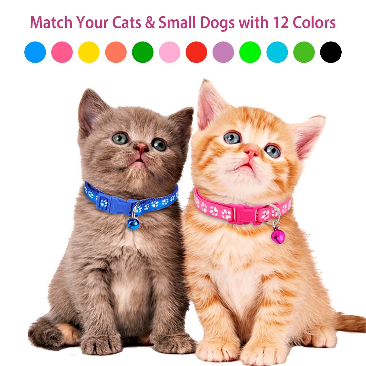 Ca2-Pack: Adjustable Kitten Collar with Bell Name Tag Pet Supplies - Tophatter Daily Deals