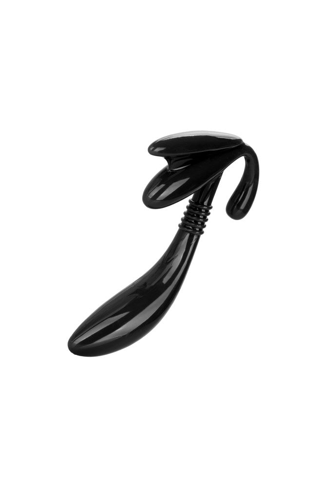 Cal Exotics - Apollo - Curved Prostate Probe - Black Sex Toy - Tophatter Daily Deals