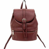 Cameleon® Amelia Concealed Carry Backpack Purse Handgun Purses - Tophatter Daily Deals