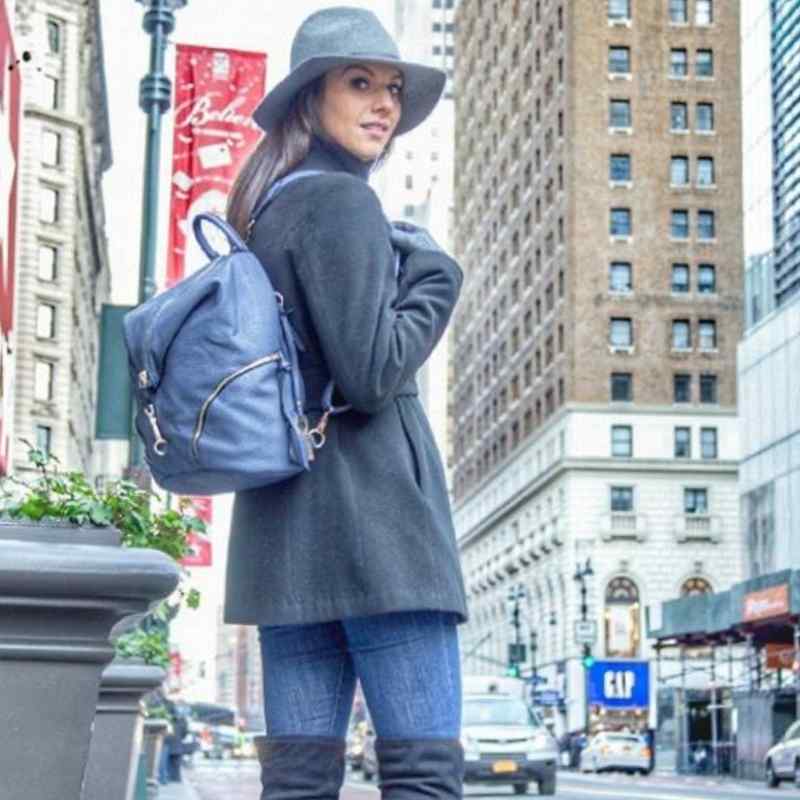 Aurora Cameleon Concealed Carry Handbag Gun Backpack Handgun Purses - Tophatter Daily Deals