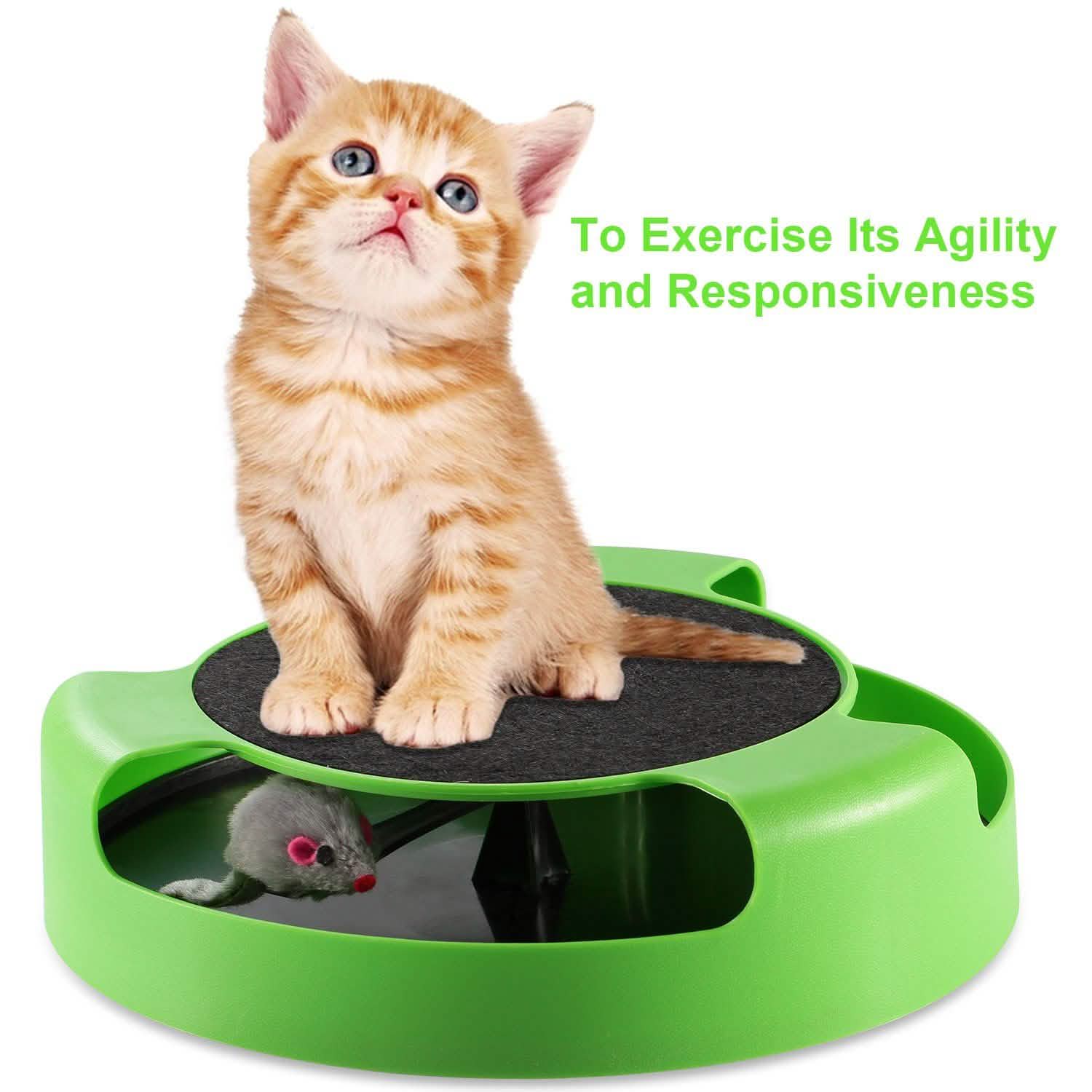 Cat Interactive Scratching Toy with Rotating Running Mouse Pet Supplies - Tophatter Daily Deals