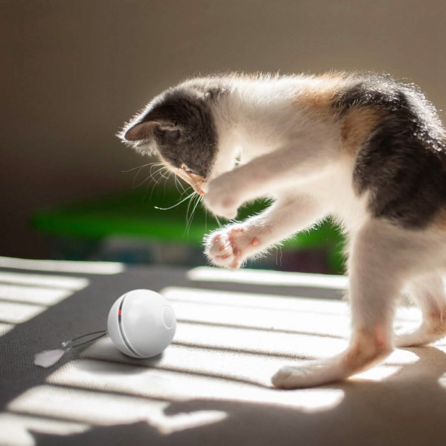 Cat Teaser Ball Automatic Self Rotating Interactive Cat Motion Exercise Toy Pet Supplies - Tophatter Daily Deals