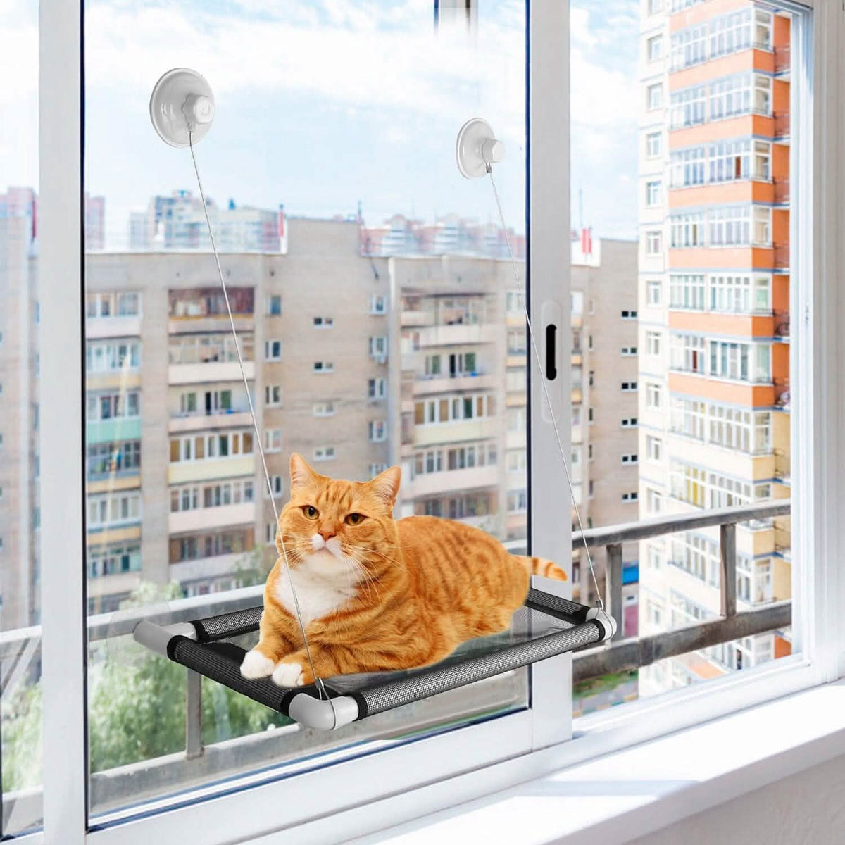Cat Window Perch Cat Hammock Window Seat Pet Supplies - Tophatter Daily Deals