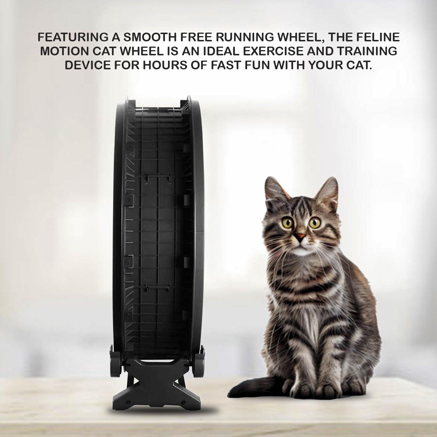 Cat Wheel Exercise - 7th Gen Cat Treadmill Cat Running Wheel Silent Movement Cat Toy Pet Products - Tophatter Daily Deals