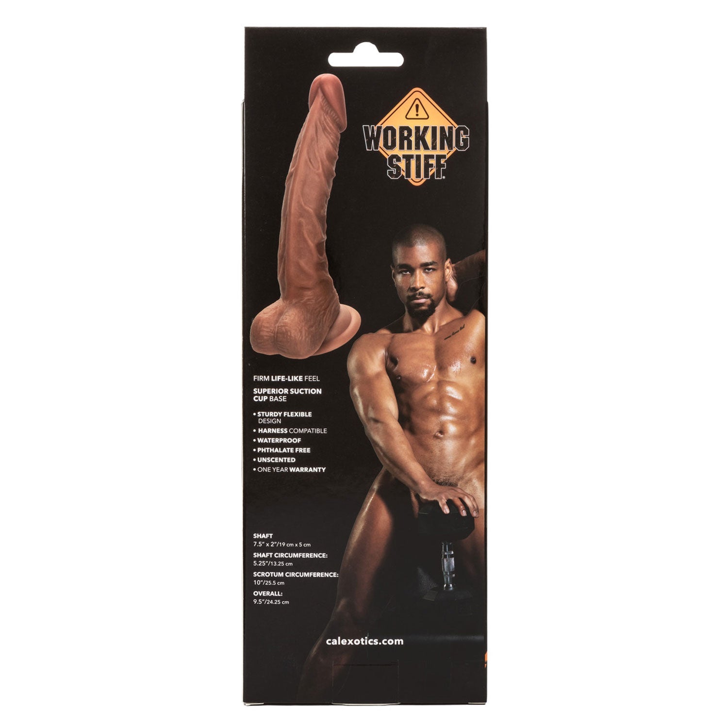 Working Stiff The Personal Trainer Realistic 7.5 Inch Flesh Tone Dildo with Suction Cup Base > Dildos > Realistic Dildos - Tophatter Daily Deals
