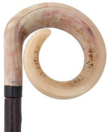 Curly Rams horn Handle Hiking Staff With Blackthorn wood Shaft Irish Blackthorn Canes - Tophatter Daily Deals