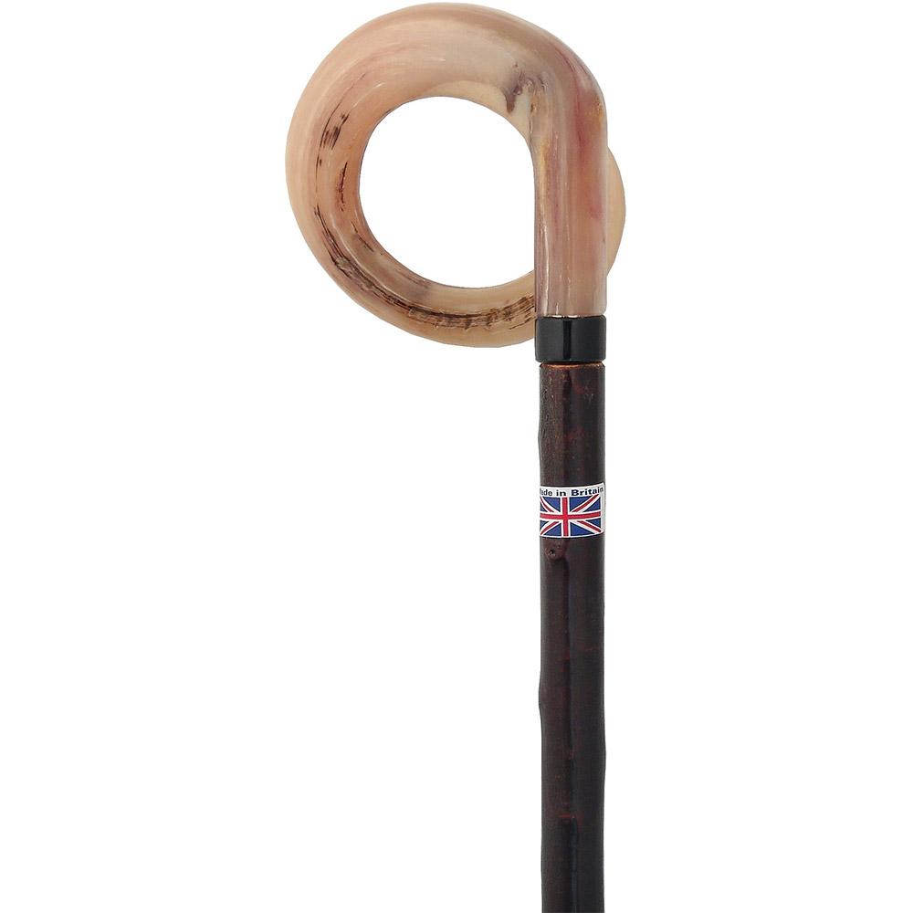 Curly Rams horn Handle Walking Stick With Blackthorn Shaft Irish Blackthorn Canes - Tophatter Daily Deals