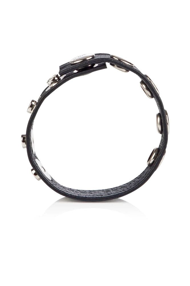 Cal Exotics - Colt - Adjustable 5 Snap Leather Cock/Ball Strap Sex Toy - Tophatter Daily Deals
