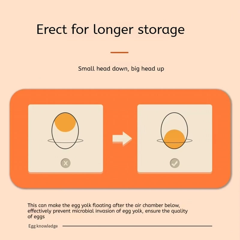 Double Drawer Egg Box - 32 Holes Kitchen Supplies - Tophatter Daily Deals