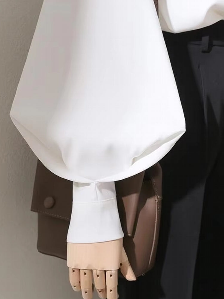 Blouses Shirt Lady Long Lantern Sleeve Stand Collar Blouses - Tophatter Daily Deals