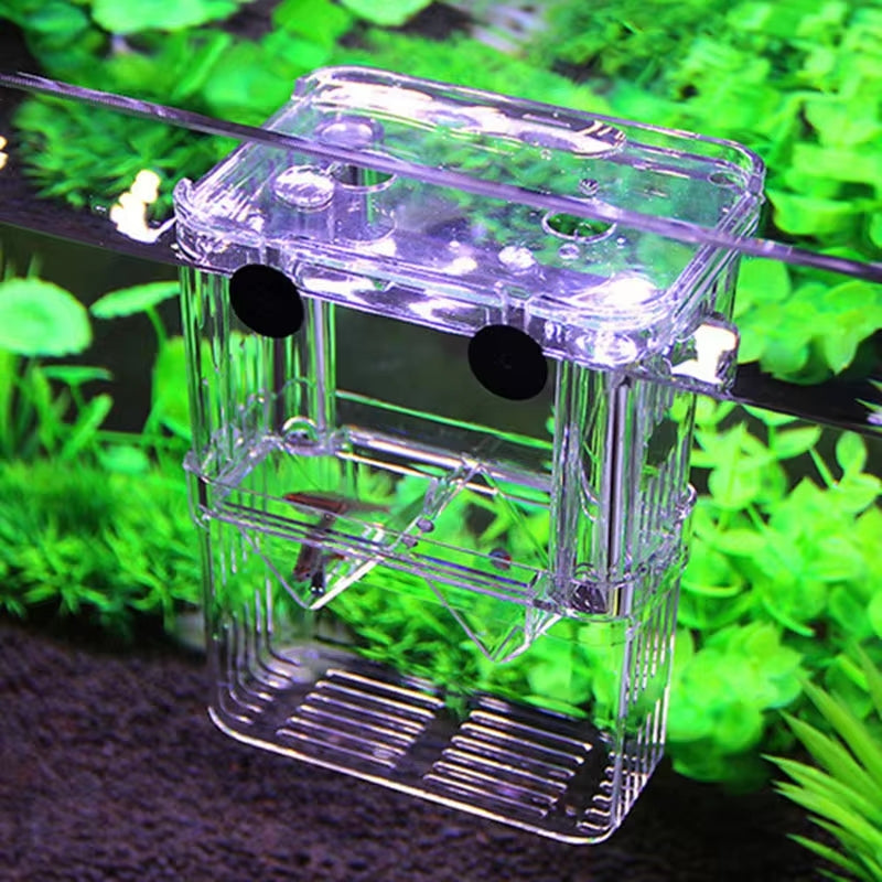 Small Fish Hatch Incubator Pet Supplies - Tophatter Daily Deals