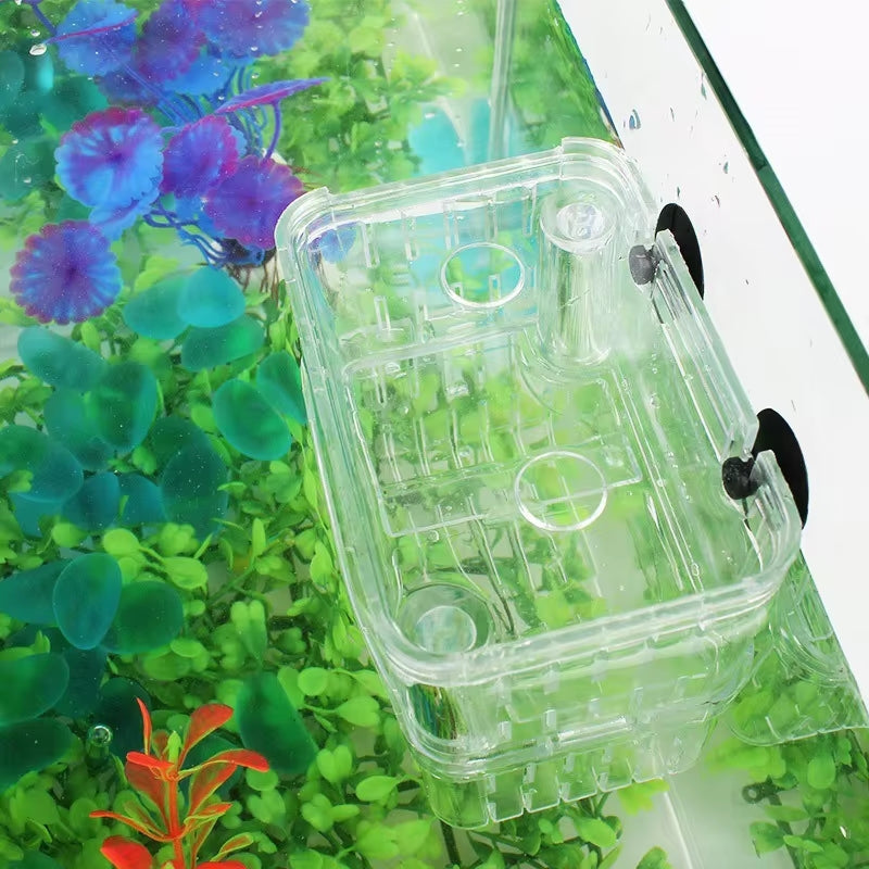 Small Fish Hatch Incubator Pet Supplies - Tophatter Daily Deals