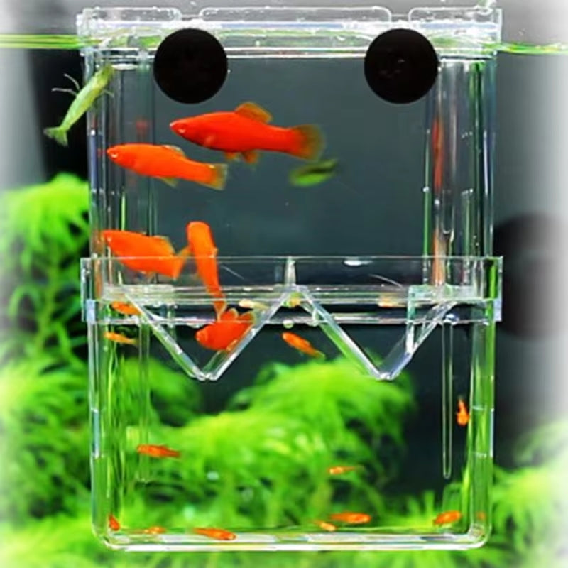 Small Fish Hatch Incubator Pet Supplies - Tophatter Daily Deals