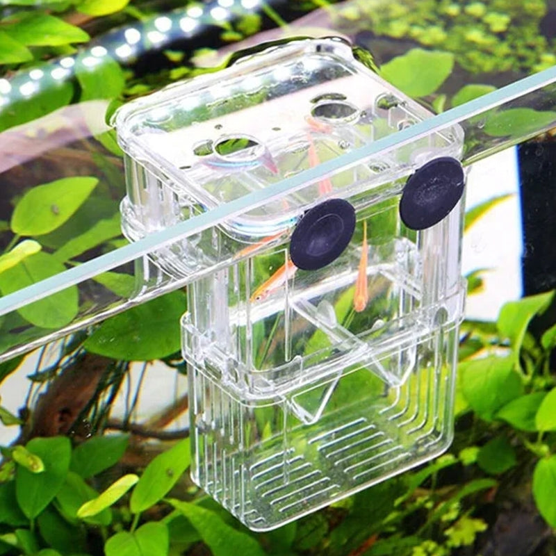 Small Fish Hatch Incubator Pet Supplies - Tophatter Daily Deals