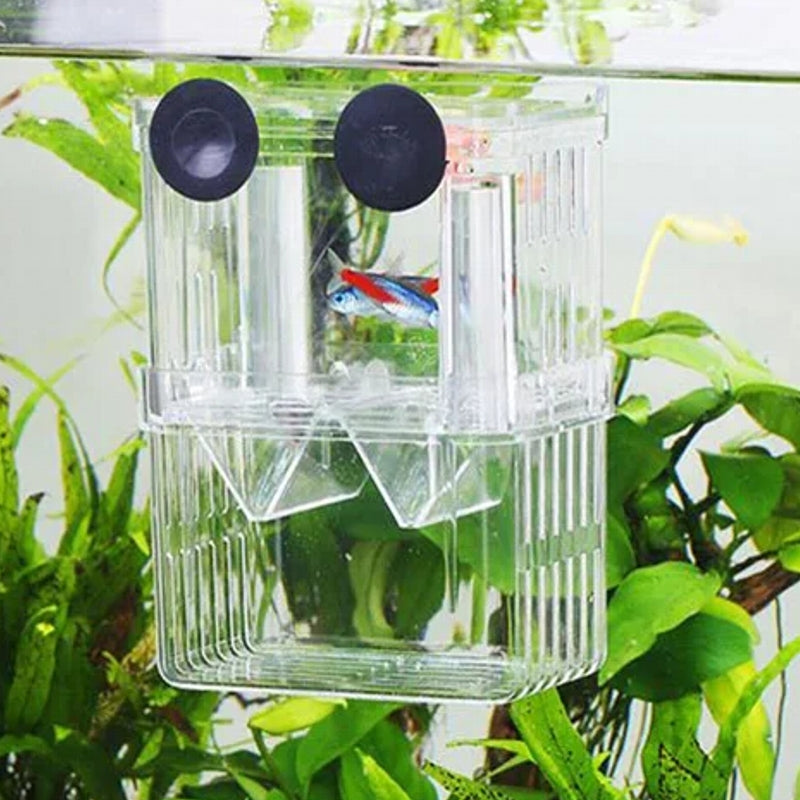 Small Fish Hatch Incubator Pet Supplies - Tophatter Daily Deals