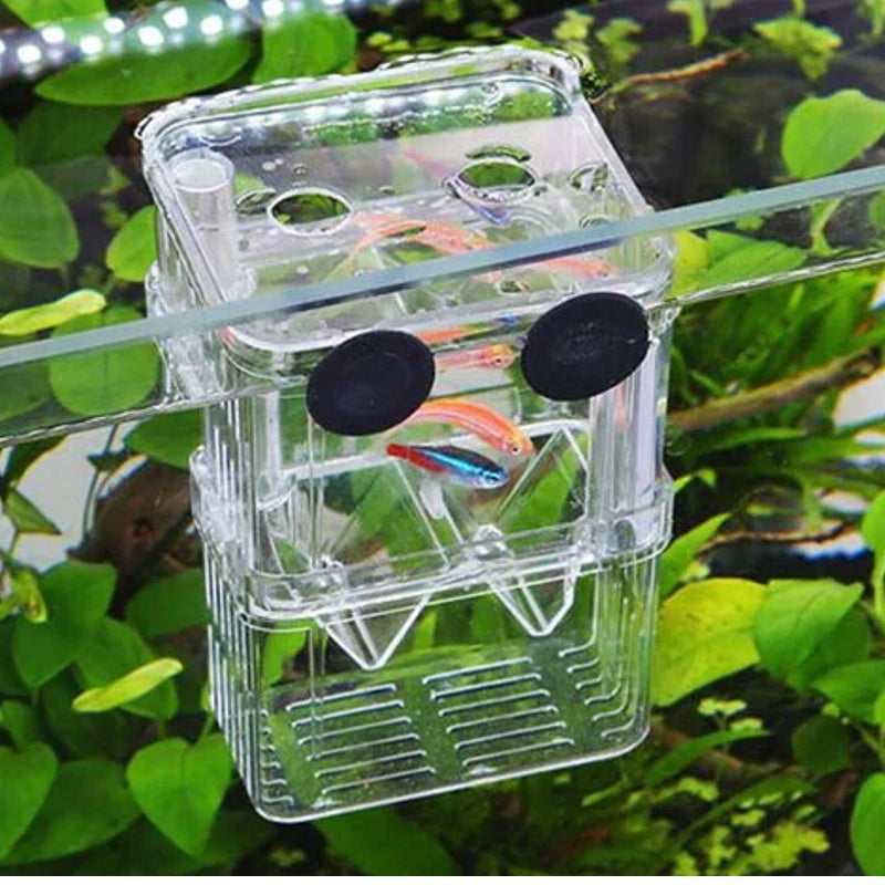 Small Fish Hatch Incubator Pet Supplies - Tophatter Daily Deals
