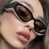 Punk Cat Eye Sunglasses for Women Square Frame Plastic Samsung Cases - Tophatter Daily Deals