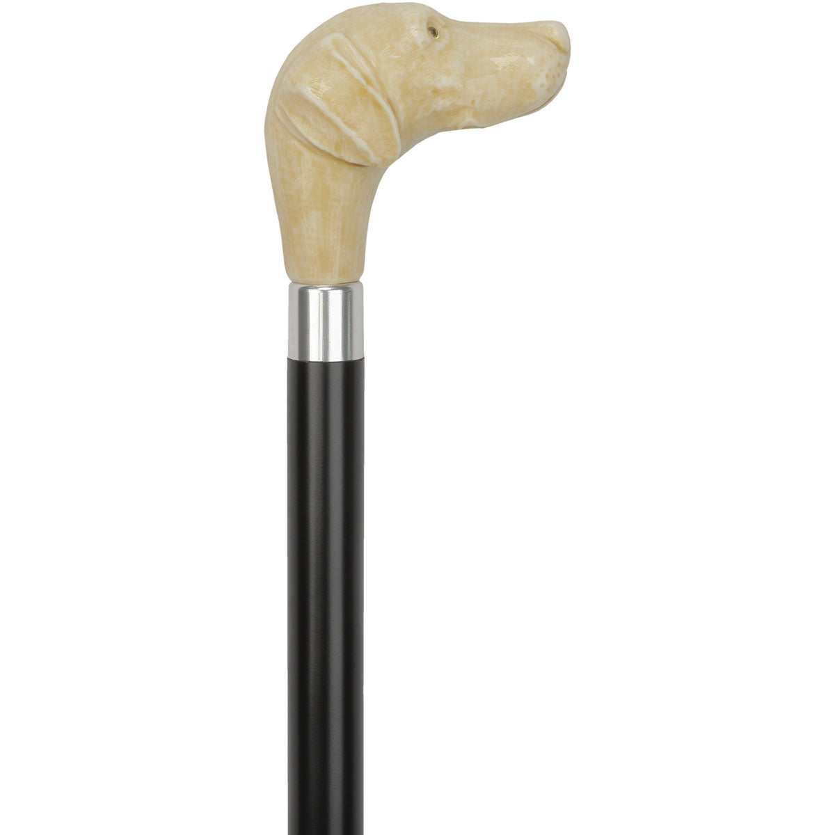 Faux Ivory White Labrador Handle Cane - Italian Handle w/Custom Shaft and Collar - Tophatter Daily Deals
