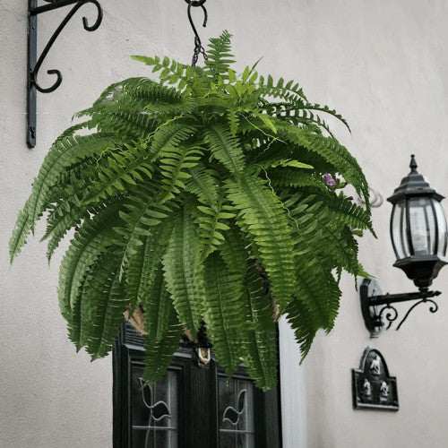 Artificial Fern Flower Arrangement Green Plant Plastic Crafts 88 Leaves 108cm 0 - Tophatter Daily Deals