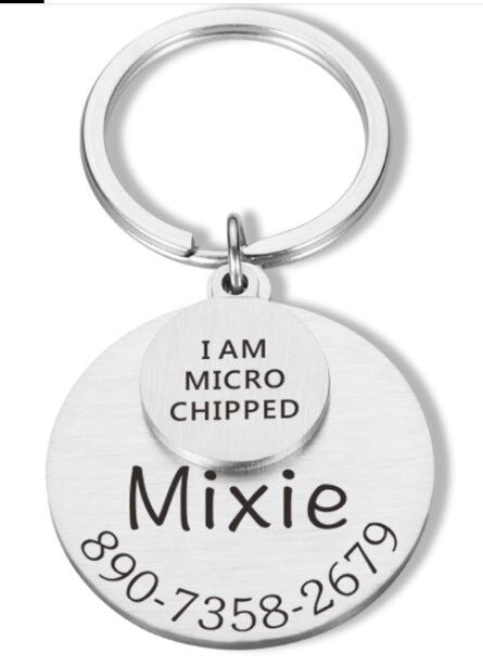 Anti-lost Engraved Pet Tag Collar Tag Pendant Keychain Steel color 7 - Tophatter Daily Deals